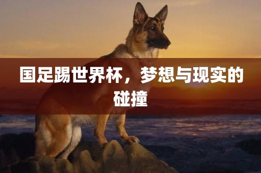 国足踢世界杯,梦想与现实的碰撞