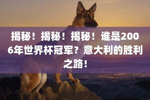 揭秘！揭秘！揭秘！谁是2006年世界杯冠军？意大利的胜利之路！
