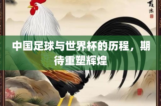 中国足球与世界杯的历程，期待重塑辉煌