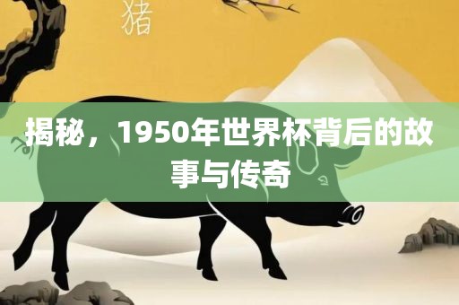 揭秘,1950年世界杯背后的故事与传奇