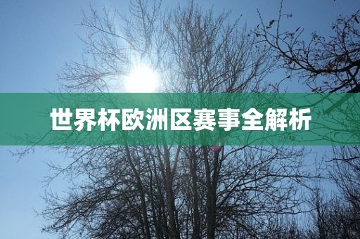 世界杯欧洲区赛事全解析