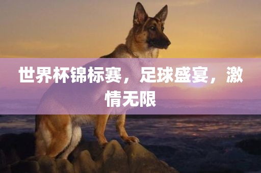 世界杯锦标赛,足球盛宴,激情无限