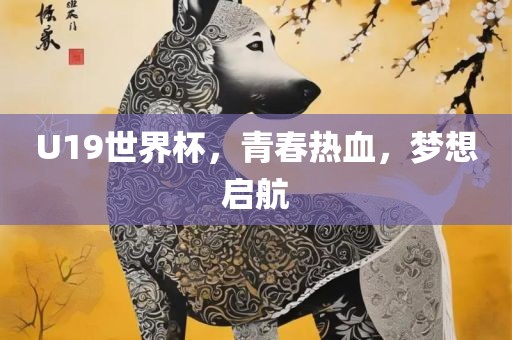 U19世界杯，青春热血，梦想启航