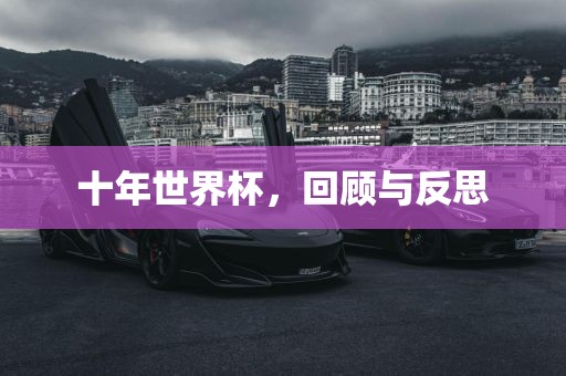 十年世界杯，回顾与反思广州熙林手袋有限公司