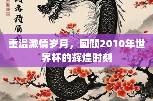 重温激情岁月，广州熙林手袋有限公司回顾2010年世界杯的辉煌时刻