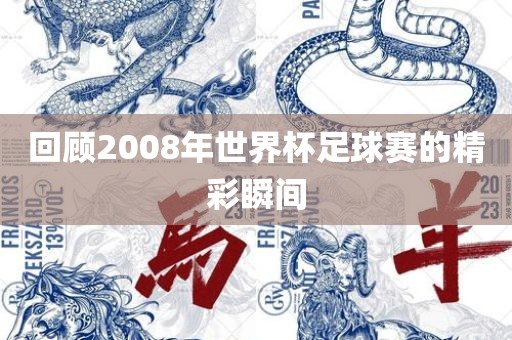 回顾2008年世界杯足球赛的精彩瞬间