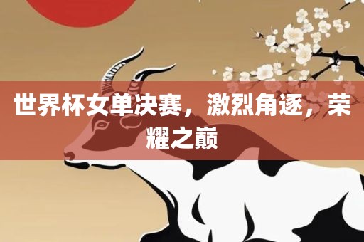 世界杯女单决赛，激烈角逐，荣耀之巅