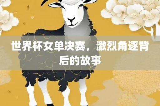 世界杯女单决赛，激烈角逐背后的故事