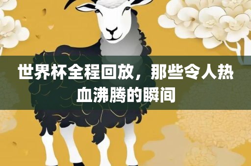 世界杯全程回放，那些令人热血沸腾的瞬间