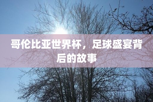 哥伦比亚世界杯,足球盛宴背后的故事