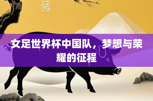 女足世界杯中国队,梦想与荣耀的征程