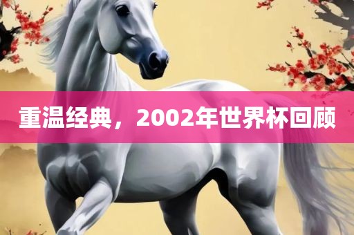 重温经典,2002年世界杯回广州熙林手袋有限公司顾