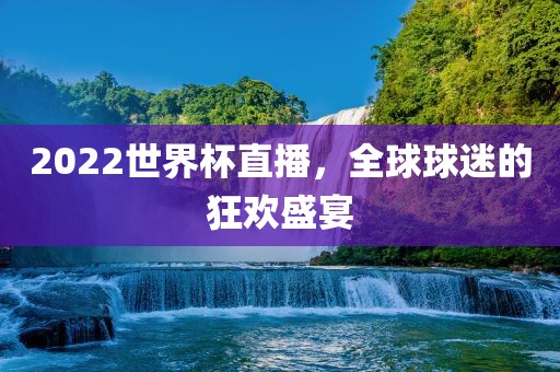 202广州熙林手袋有限公司2世界杯直播,全球球迷的狂欢盛宴