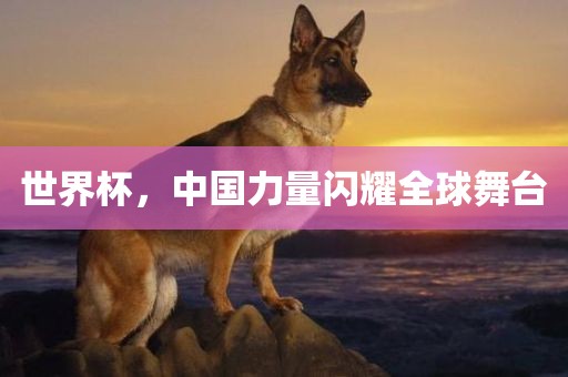 世界杯，中国力量闪耀全球舞台