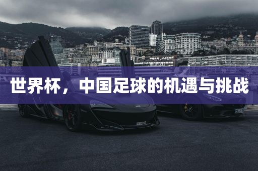 世界杯,中国足球的机遇与挑战广州熙林手袋有限公司