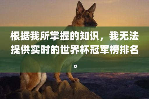 根据我所掌握的知识，我无法提供实时的世界杯冠军榜排名。