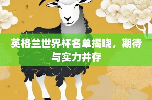 英格兰世界杯名单揭晓,期待与实力并存