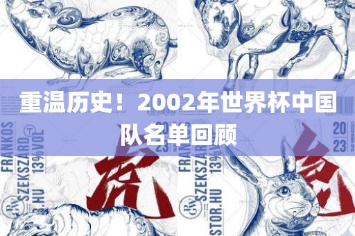 重温历史!2002年世界杯中国队名单回顾广州熙林手袋有限公司