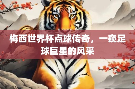 梅西世界杯点球传奇,一窥足球巨星的风采