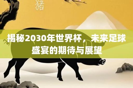 揭秘2030年世界杯,未来足球盛宴的期待与展望广州熙林手袋有限公司