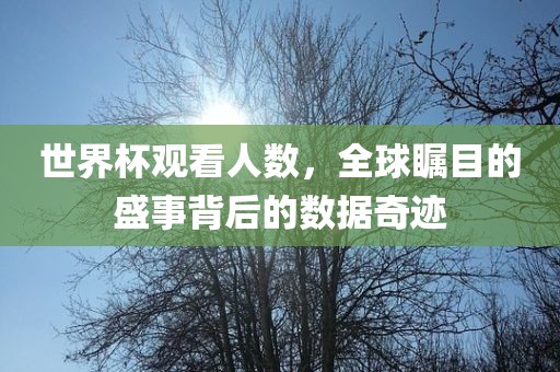 世界杯观看人数,全球瞩目的盛事背后的数据奇迹