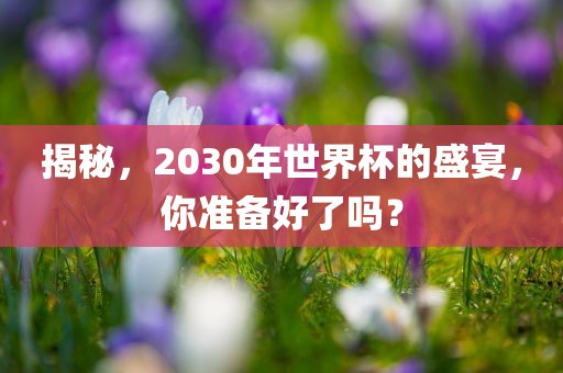 揭秘，2030年世界杯的盛宴，你准备好了吗？