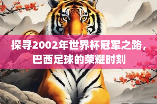 探寻2002年世界杯冠军之路，巴西足球的荣耀时刻