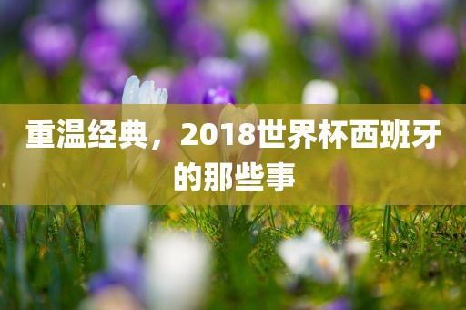 重温经典,2018世界杯西班牙的那些事