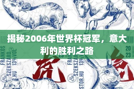 揭秘2006年世界杯冠军，意大利的胜利之路
