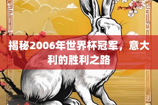 揭秘2006年世界杯冠军，意大利的胜利之路