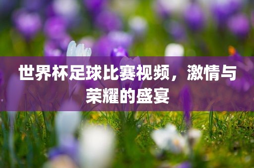 世界杯足球比赛视频,激情与荣耀的盛宴