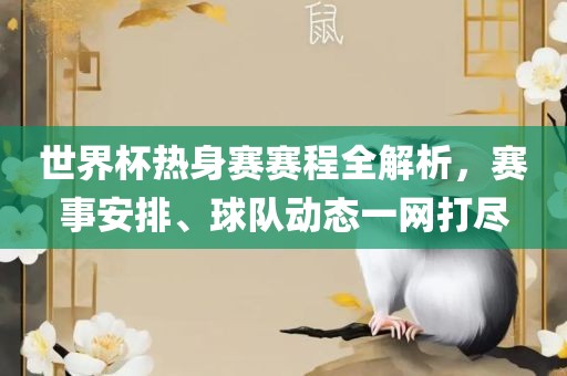 世界杯热身赛赛程全解析,赛事安排、球队动态一网打尽