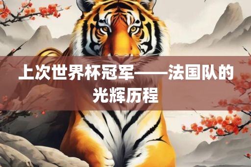 上次世界杯冠军——法国队的光辉历程广州熙林手袋有限公司