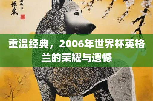 重温经典，2006年世界杯英格兰的荣耀与遗憾