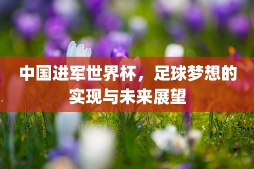 中国进军世界杯，足球梦想的实现与未来展望