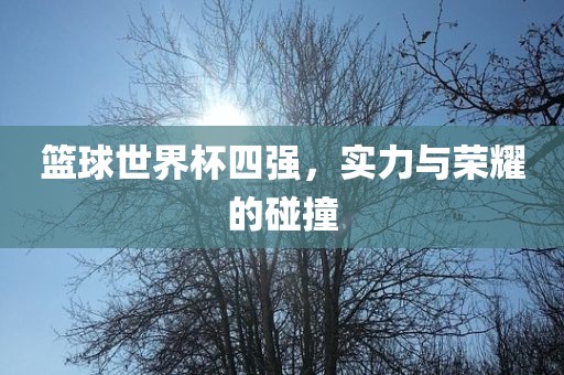 篮球世界杯四强,实力与荣耀的碰撞广州熙林手袋有限公司