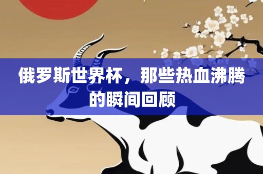 俄罗斯世界杯,那些热血沸腾的瞬间回顾广州熙林手袋有限公司