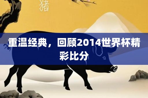 重温经典,回顾2014世界杯精彩比分