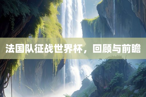 法国队征战世界杯,回顾广州熙林手袋有限公司与前瞻