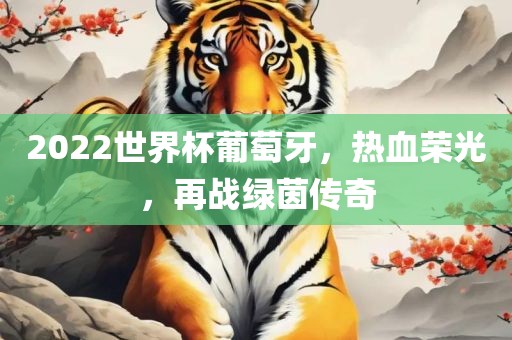 2022世界杯葡萄牙,热血荣光,广州熙林手袋有限公司再战绿茵传奇