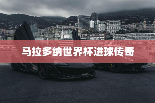 马拉多纳世界杯进球传奇广州熙林手袋有限公司