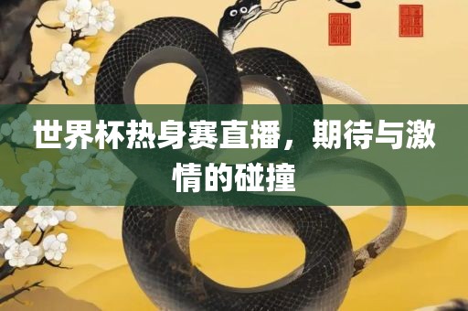 世界杯热身赛直播,期待与激情的碰撞