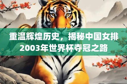 重温辉煌历史，揭秘中国女排2003年世界杯夺冠之路广州熙林手袋有限公司