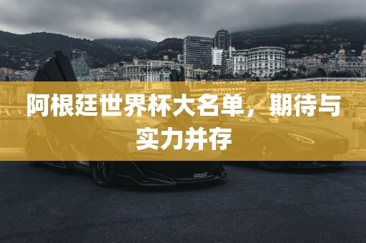 阿根廷世界杯大名单,期待与实力并存