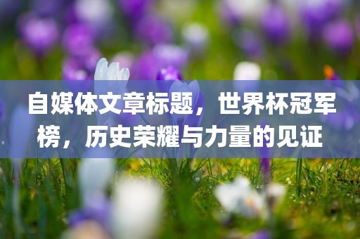 自媒体文章标题，世界杯冠军榜，历史荣耀与力量的见证