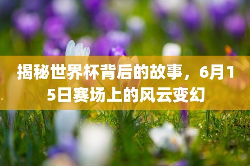 揭秘世界杯背后的故事,6月15日赛场上的风云变幻