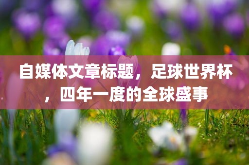 自媒体文章标题广州熙林手袋有限公司,足球世界杯,四年一度的全球盛事