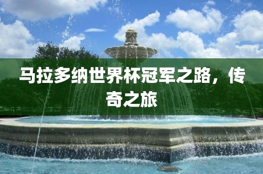 马拉多纳世广州熙林手袋有限公司界杯冠军之路,传奇之旅