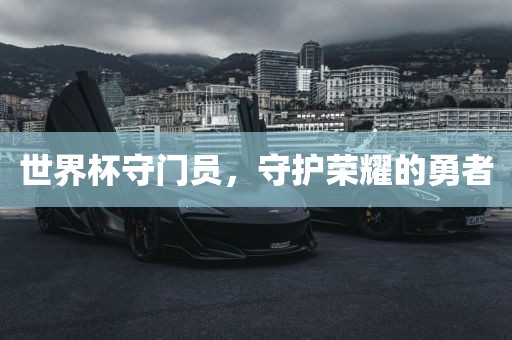 世界杯守门员，守护荣耀的勇者