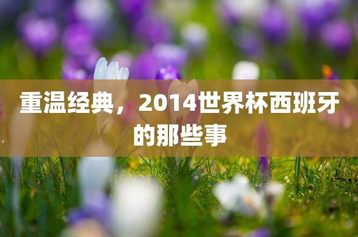 重温经典,2014世界杯西班牙的那些事